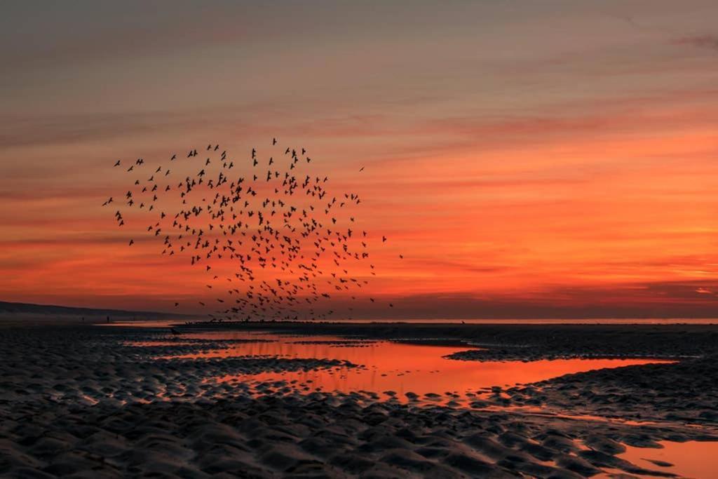 Hoekje Up Katwijk aan Zee Eksteriør bilde