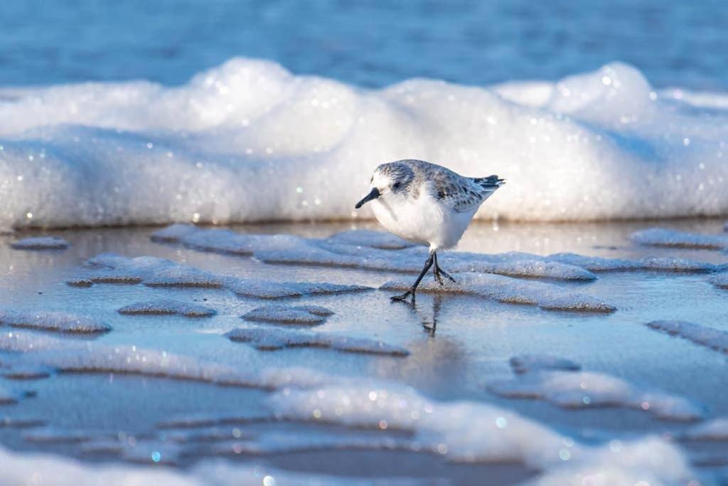 Hoekje Up Katwijk aan Zee Eksteriør bilde